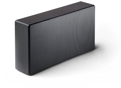 Google Cast Speaker